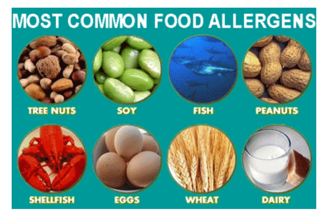 Exploring Food Allergies: Types, Symptoms, and Management