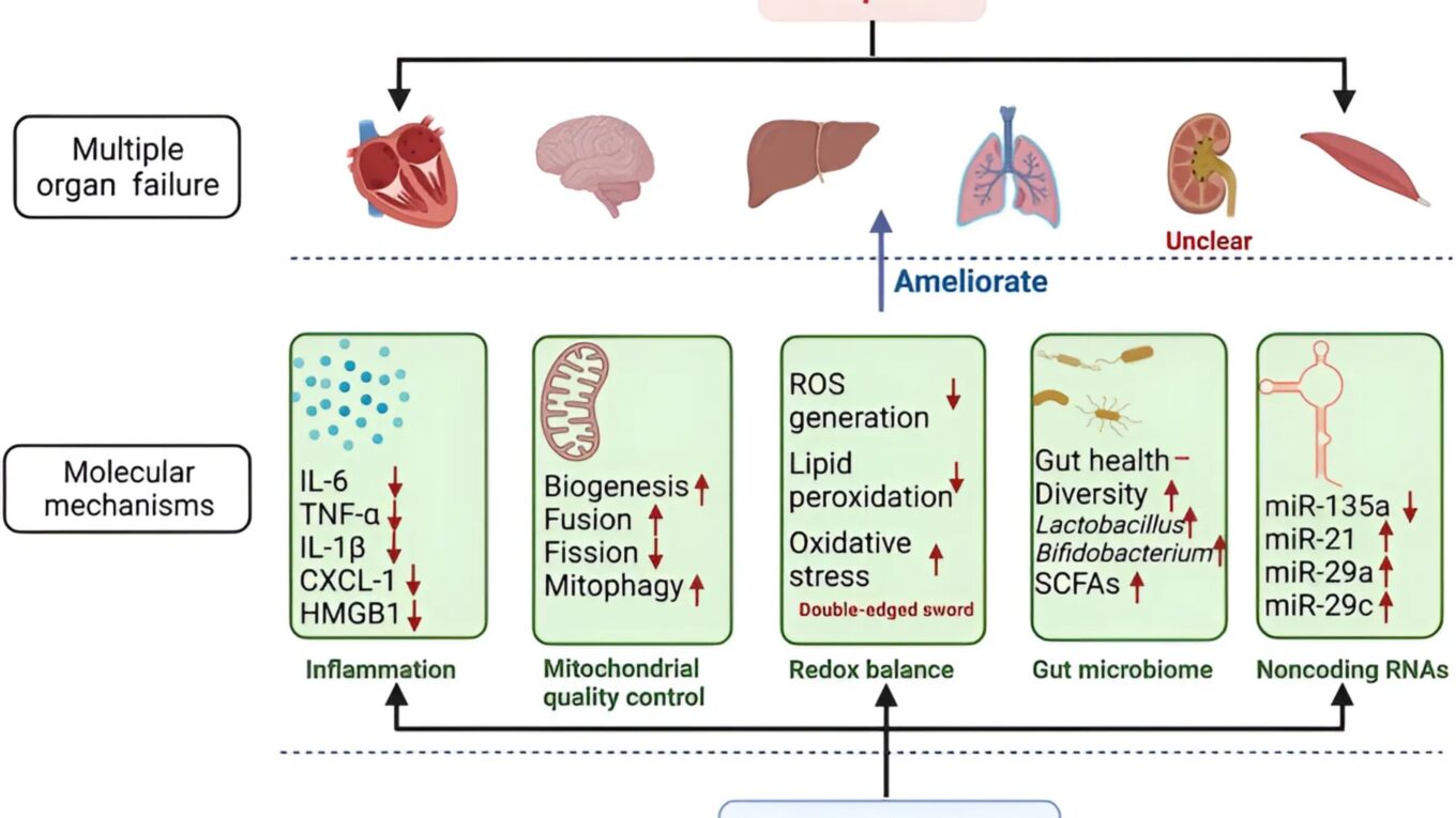 Decoding Sepsis: Unraveling the Enigma of a Silent Killer